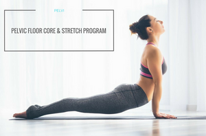 Pelvic Floor Fit Core Program